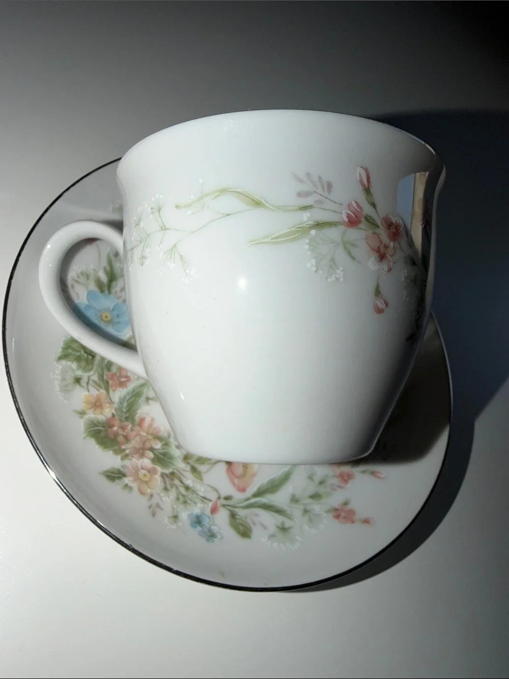White Floral Porcelain Teacup and Saucer with Silver Trim